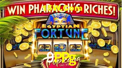 Apostas Esportivas na 9PPg: Um Guia Completo